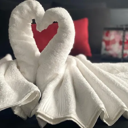 La Nocturne Appartement *